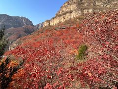 -狼牙山风景区