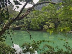 -柳侯公园