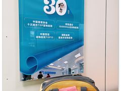 -北京观赏动物医院·24小时大型综合·猫专科·异宠专科