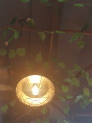 -小熊维尼高端儿童摄影(宝安旗舰店)