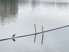 -荔湾湖公园