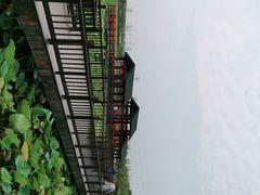 -天津东丽湖风景区