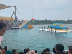 -秦皇岛乐岛海洋王国