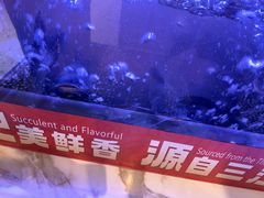 -三江源活鱼现烤(维多利摩尔城店)