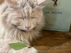-甲乙丁書店·书茶咖·四合院