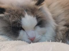 -悠米私人影院(街道口店)