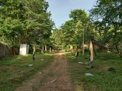 -青龙山国家森林公园