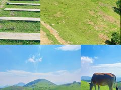-大姆山草场