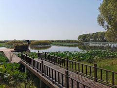 -洪湖生态旅游区