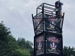 -枫花园汽车电影院(朝阳公园店)