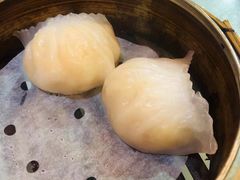 虾饺-糖朝(尖沙咀店)