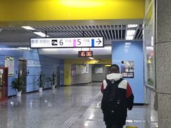 -大龙山(地铁站)