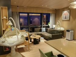 -禧月荟S月子中心(侨城店)