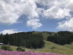 -驼梁风景区