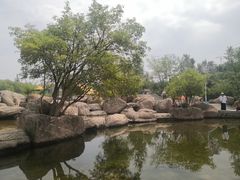 -成吉思汗公园