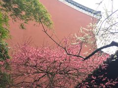 -钱王祠
