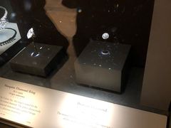 -美国自然历史博物馆