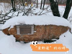 -中旅松花湖滑雪场