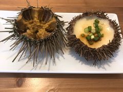 -海胆小馆(东北水饺·春柳店)