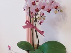 -小南洋海景餐厅(深圳湾店)