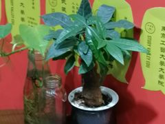 -学习谷日语培训日本留学·多语种外语教学(海淀人大分部)