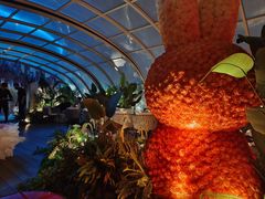 -Hi City·城市之巅