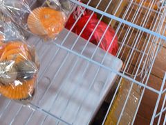 -蓝湾碧波·老字号·疍家非遗海上餐厅