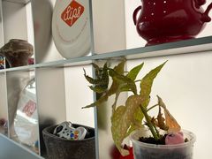 -Sips&Lick茶兰咖啡(五道口店)