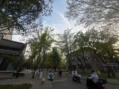 -山东大学(趵突泉校区)