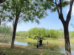 -东郊湿地公园
