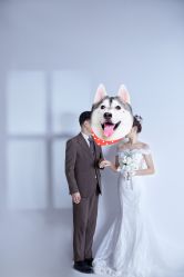 -CD视觉婚纱摄影