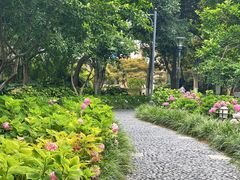 -常州古运河南大街文化旅游区-人民公园