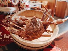 松叶蟹-蟹田居·活蟹料理(东城店)