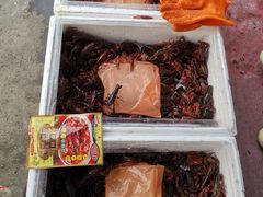 -京深海鲜市场(光彩路店)