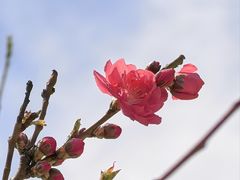 -太阳宫公园