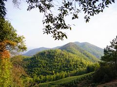 -莫干山风景区