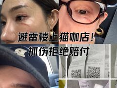 -楼上猫咖(罗湖店)