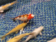 -盆满钵满·国家非遗传承(云台店)