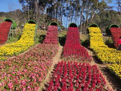 -广州市石门国家森林公园