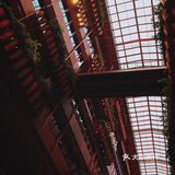 魔都“大红楼”，现实版千与千寻胜地！上海马当路恒基•旭辉天地
