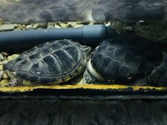-苏州海洋馆