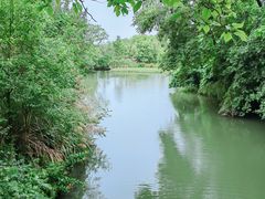 -西溪国家湿地公园