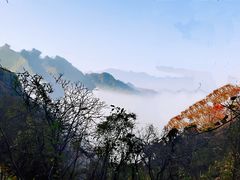 -秦岭风景区