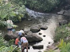 -重庆彩云湖湿地公园