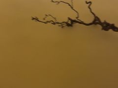 -静耳元気采耳·按摩·SPA(万象前海店)