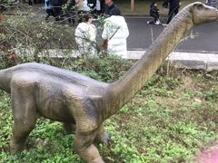 -自贡恐龙博物馆