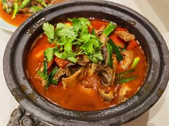 -院8里·少城记忆老川菜(宽窄巷子店)