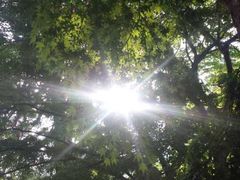 -青岛崂山太清宫