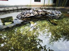 -红螺寺