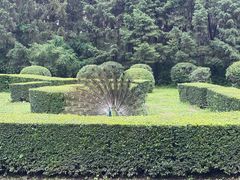-沈阳植物园